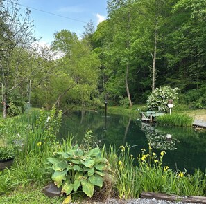 Property grounds - Family Cabin in Sevierville • Pond, Fire Pit & Peaceful Views in The Smokies! (Sevierville)