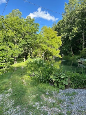 A natural landscape with a pond, surrounded by lush greenery and trees.