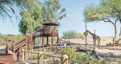 Sundevil Stay ⁓ Community Pool ⁓ Close to ASU