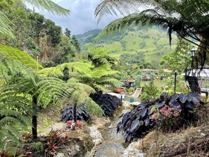 Vue depuis l’hébergement