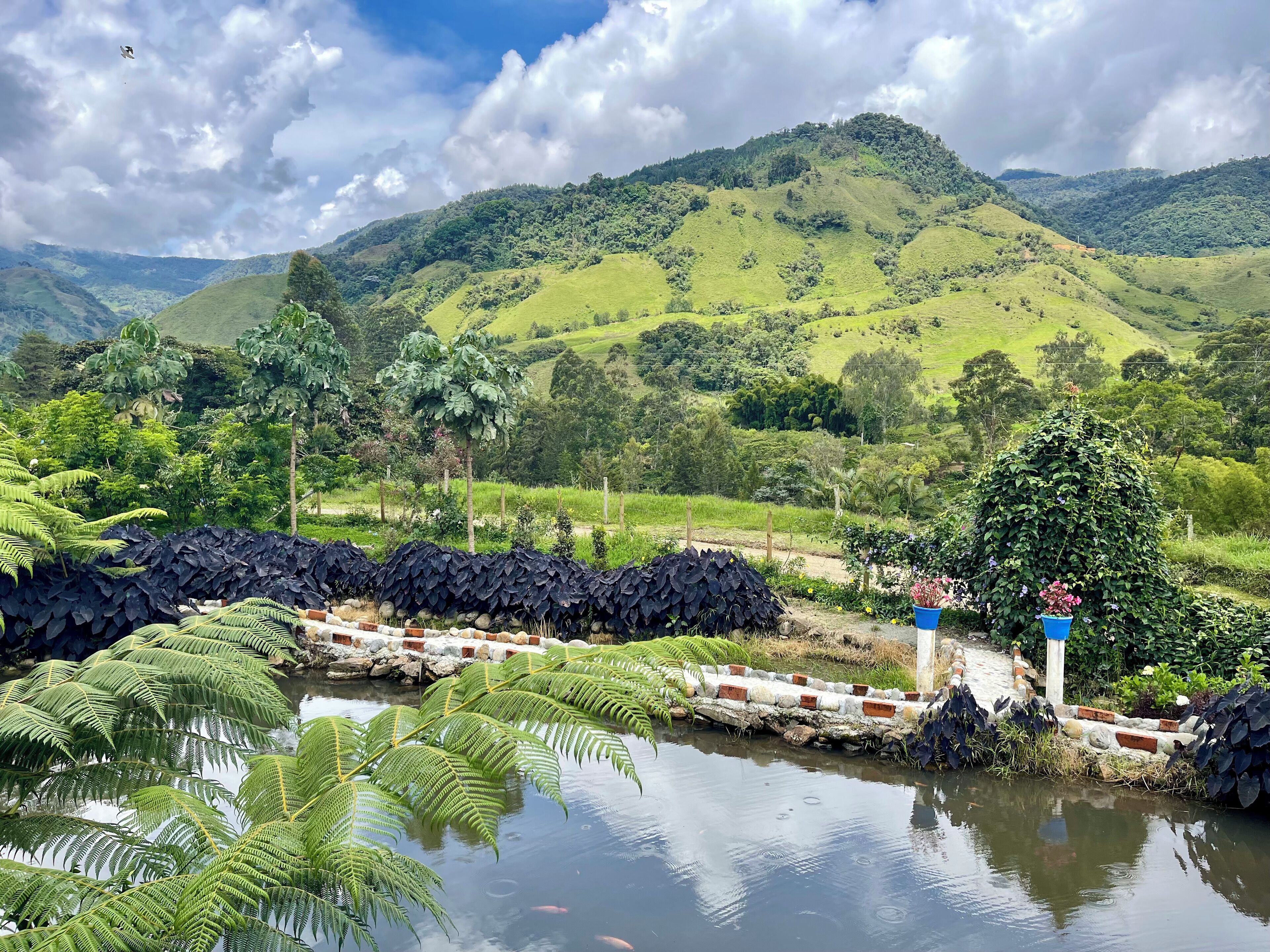 A serene landscape with a pond surrounded by lush greenery and hills in the background.