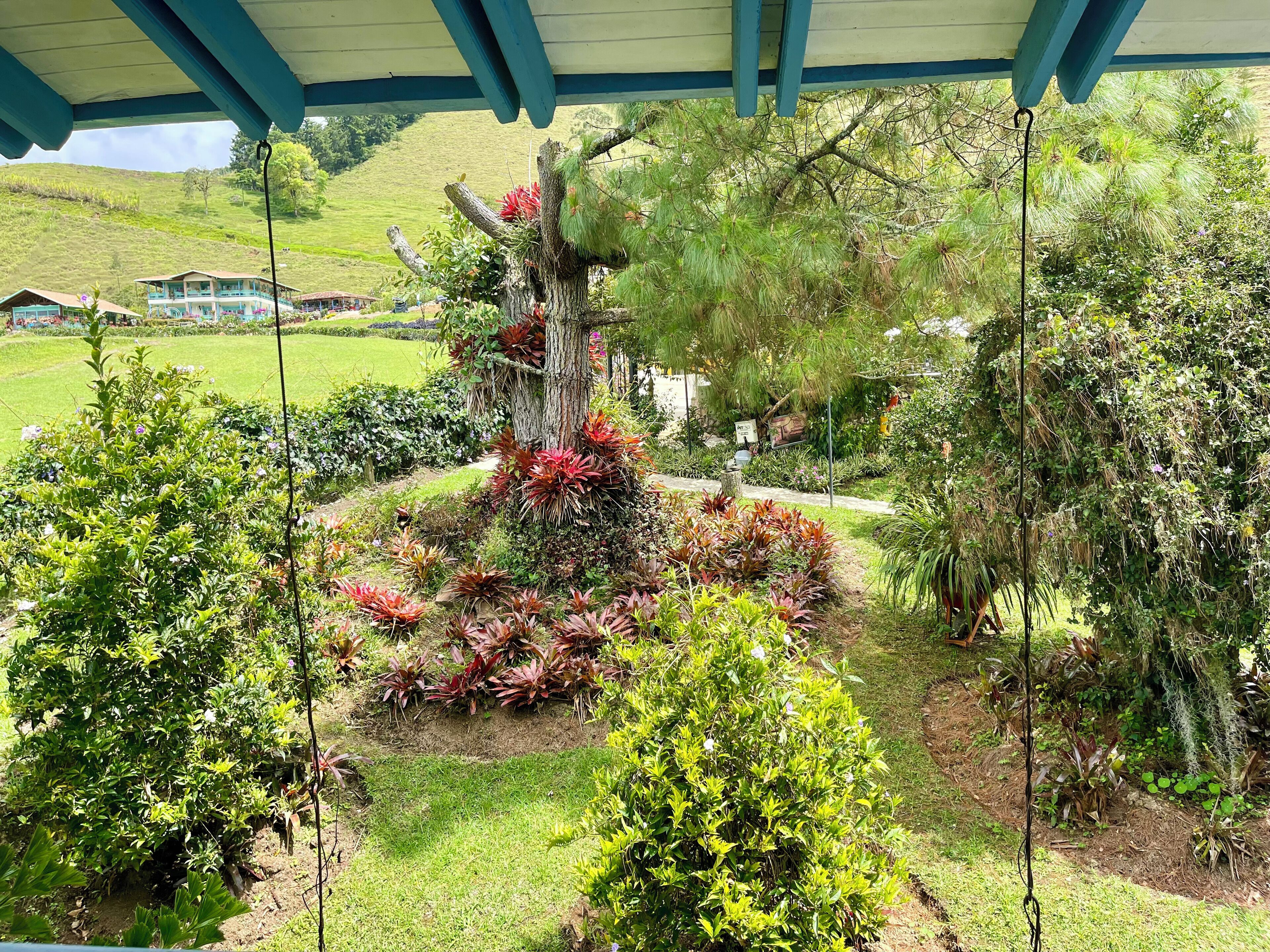 A covered garden area with various plants and trees, a pathway, and a view of a hillside in the background.