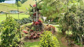 A covered garden area with various plants and trees, a pathway, and a view of a hillside in the background.