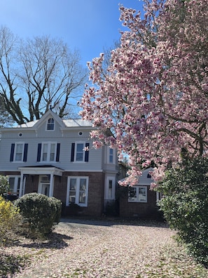Exterior - Timeless Elegance with Modern Luxury: Historic 6-BR Home plus attached 1-BR Apt (Onancock)