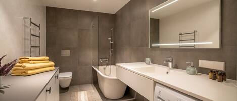 Shower, hair dryer