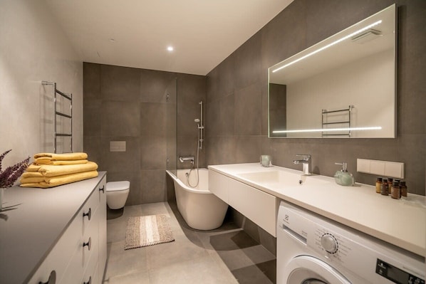 Shower, hair dryer