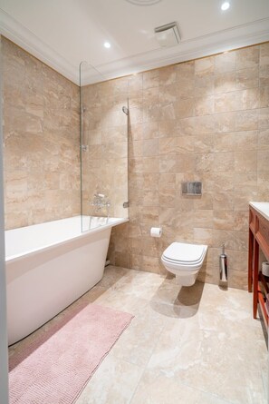 Shower, hair dryer