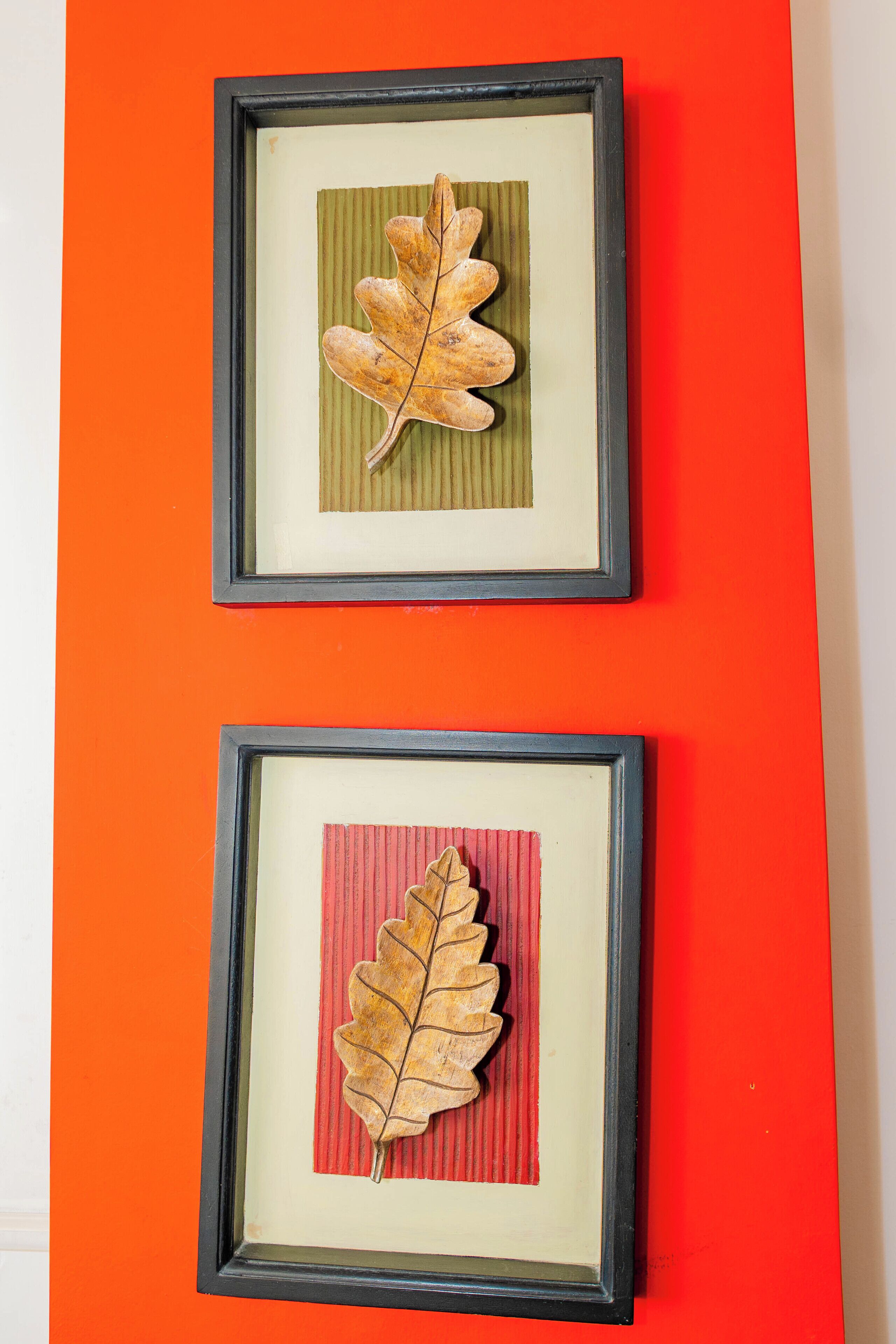 Two framed leaves on a wall.