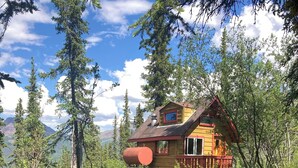 A cabin with a wooden exterior, a red roof, and a chimney. It is surrounded by dense greenery and trees.