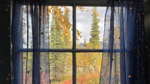 A window with a view of autumn foliage and a mountain in the background.