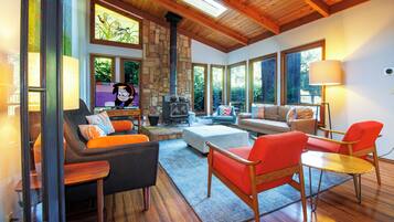 Smart TV, fireplace, DVD player, books