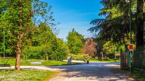 Un sendero en un parque con bancos, árboles y cielo despejado.