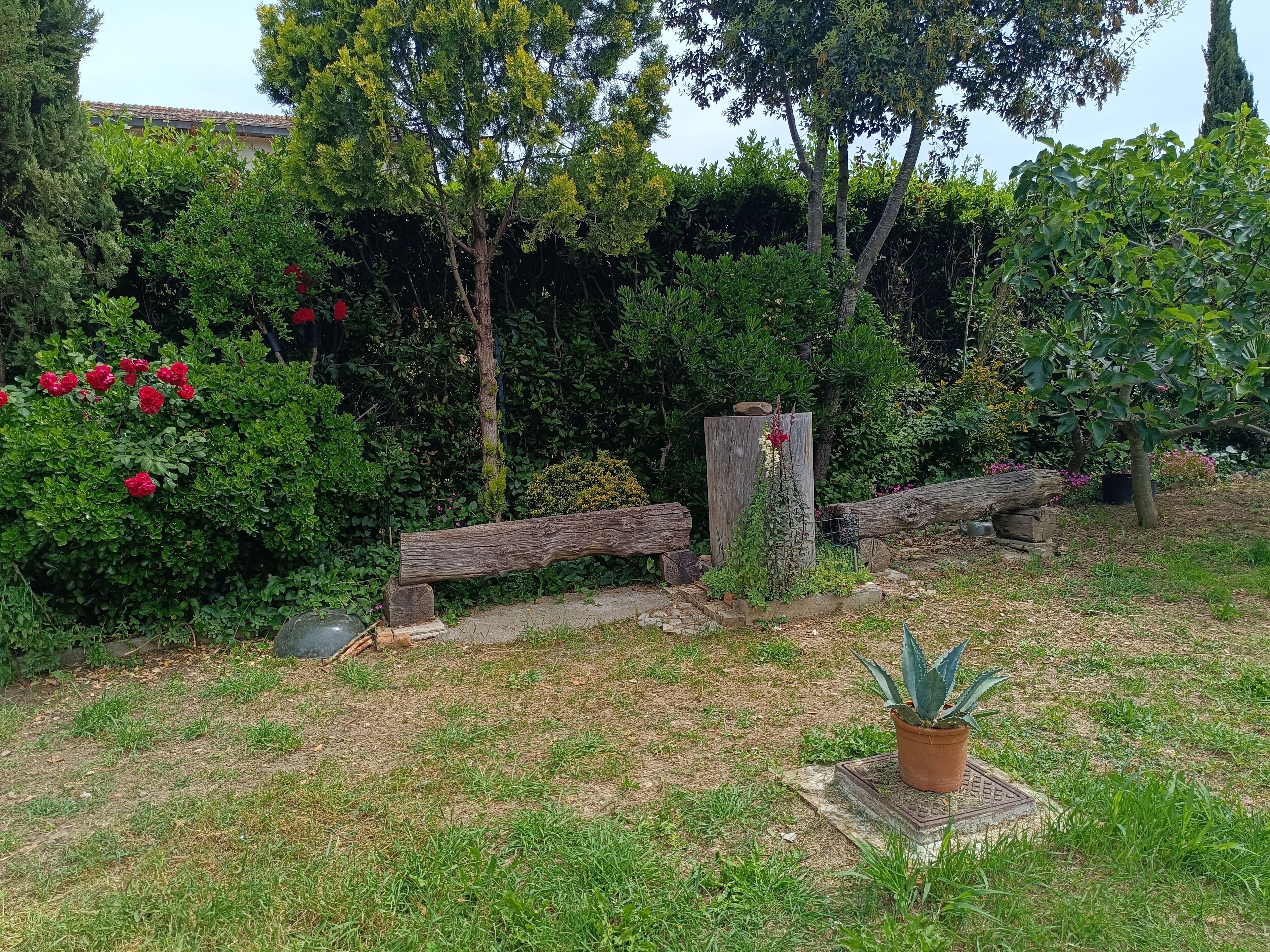 Um jardim com um banco de madeira, um vaso com planta e diversos arbustos.