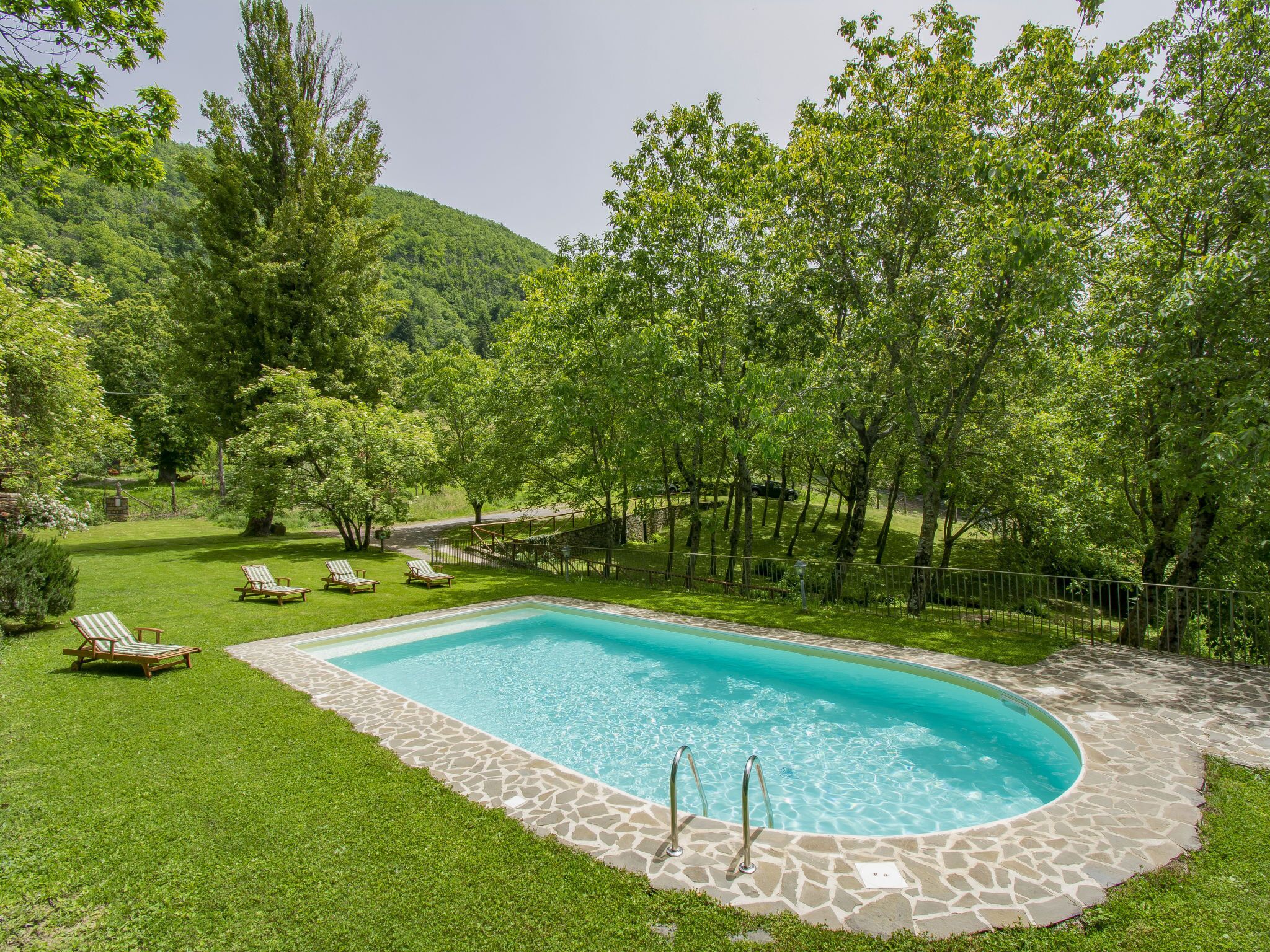 A rectangular swimming pool with a stone border, surrounded by a well-maintained lawn and trees.