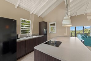 Villa, patio, vistas al parque | Cocina privada | Cafetera o tetera y mesa de comedor