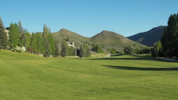Golfe