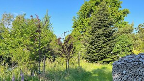A natural landscape with a pile of firewood, green grass, and various trees. - Holiday home close to the beach in Nødebohuse (Hundested)