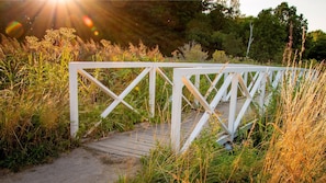 A wooden bridge with a white railing, surrounded by tall grass and trees.