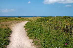 Un sentier de terre mène à une plage bordée de chaque côté d’une végétation luxuriante.