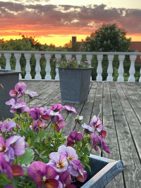 Eine Holterrasse mit Blumentöpfen und einem weißen Geländer.
