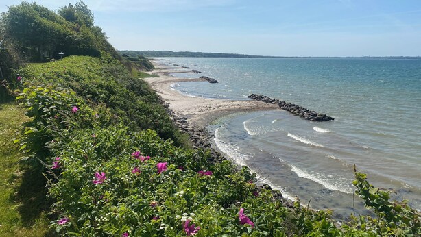 A coastal landscape with a rocky shoreline, greenery, and a clear sky. - Holiday house close to the beach. (Brenderup Fyn)