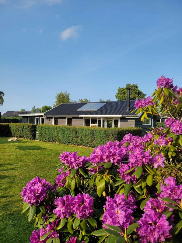 Terrain de l’hébergement 