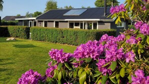 A modern house with solar panels, a well-maintained lawn, and vibrant purple flowers in the foreground. - Holiday house close to the beach. (Brenderup Fyn)