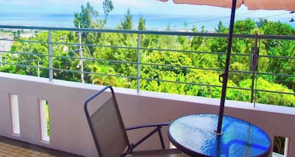 Relax while watching the ocean 6 people 10 minut - 3FB / Kunigamigun Okinawa