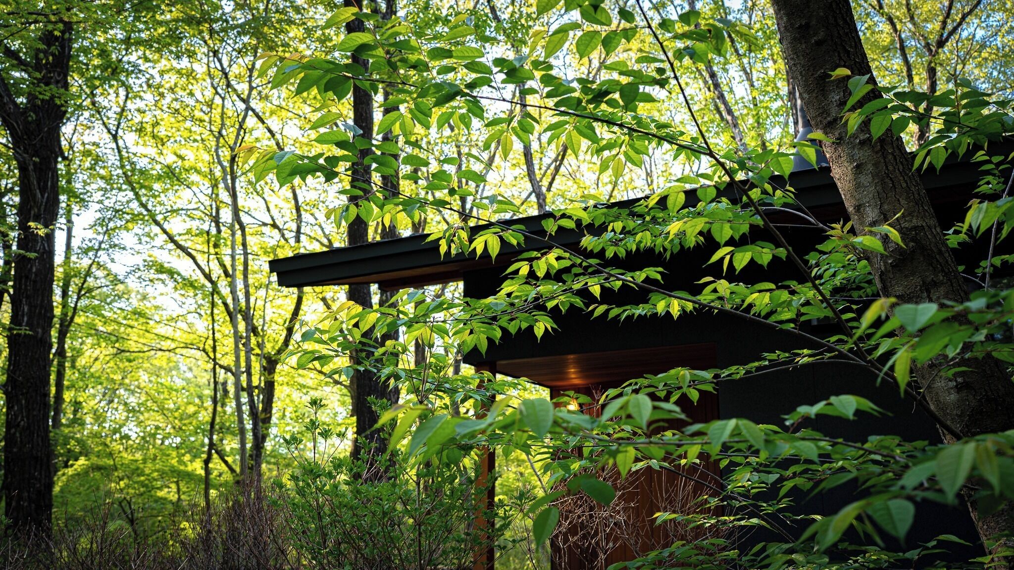 Àrea exterior de l'allotjament