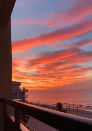 Property grounds - Caravelle 841 (Myrtle Beach)