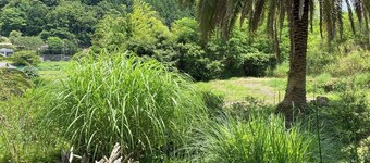 A space to enjoy Satoyama life / Kamo Shizuoka