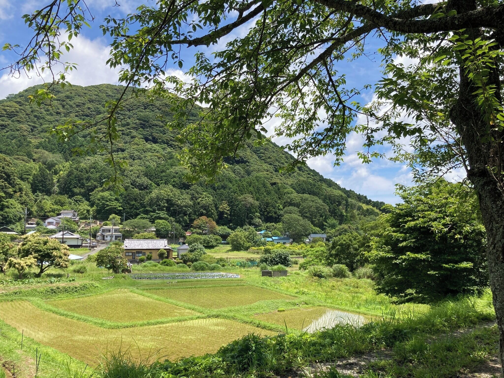 1 Schlafzimmer, Schreibtisch, kostenloses WLAN, Bettwäsche
