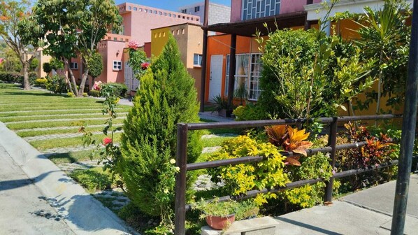 Stroll through a serene garden surrounded by lush plants and a towering coniferous tree, with a brick and stucco building in the background.