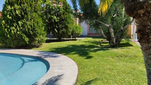 Relax in a serene pool area surrounded by lush greenery and a palm tree.