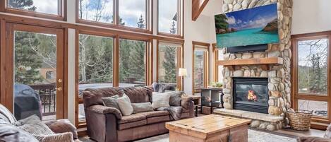 Televisor, llar de foc, videojocs i estèreo