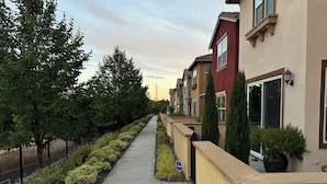 Una calle residencial con casas, aceras y diversidad de plantas.