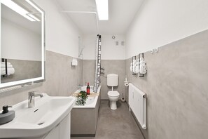 Shower, hair dryer, towels, soap