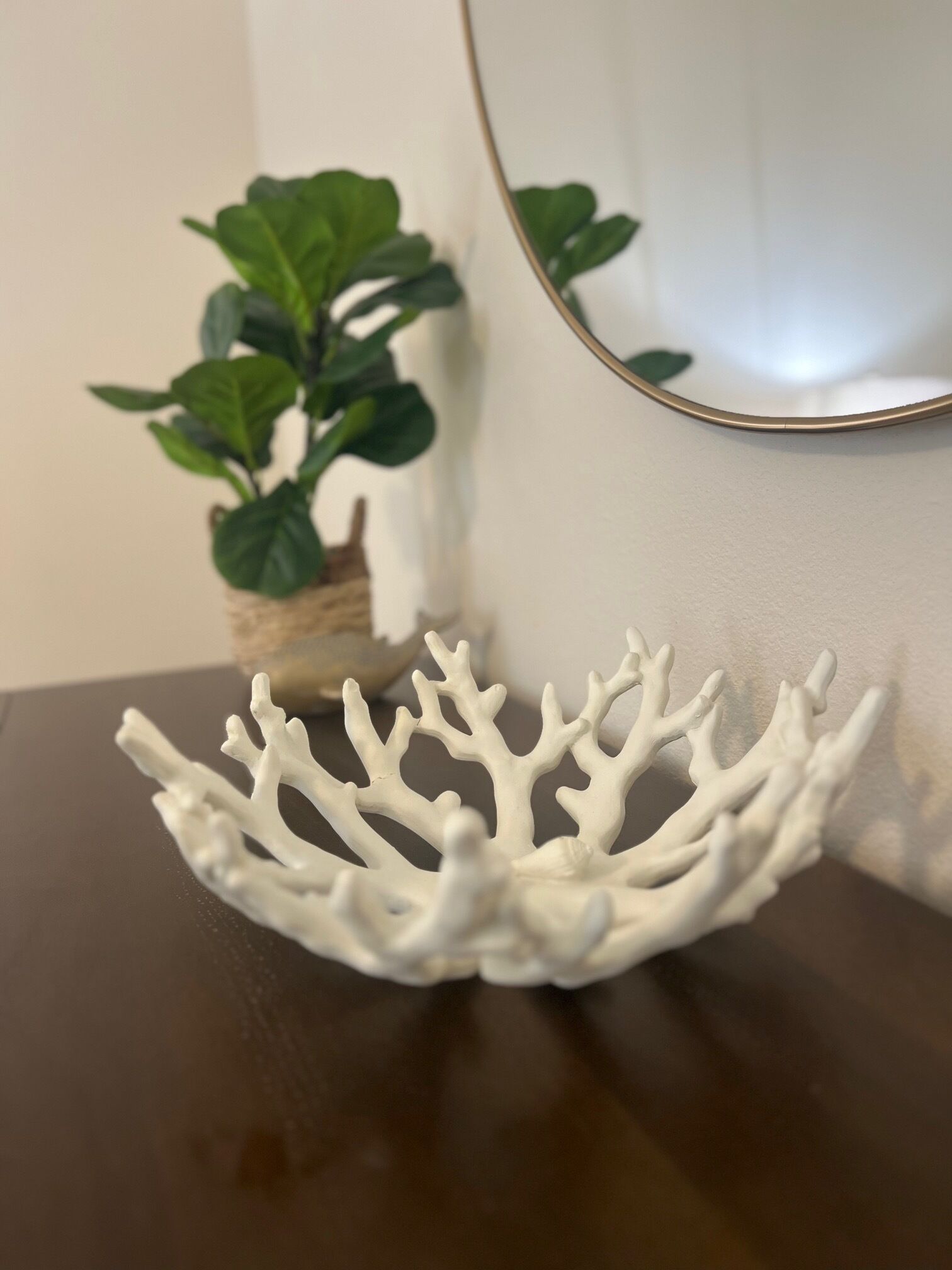 A white coral-like object on a dark surface, a small potted plant, and a mirror reflecting a wall.