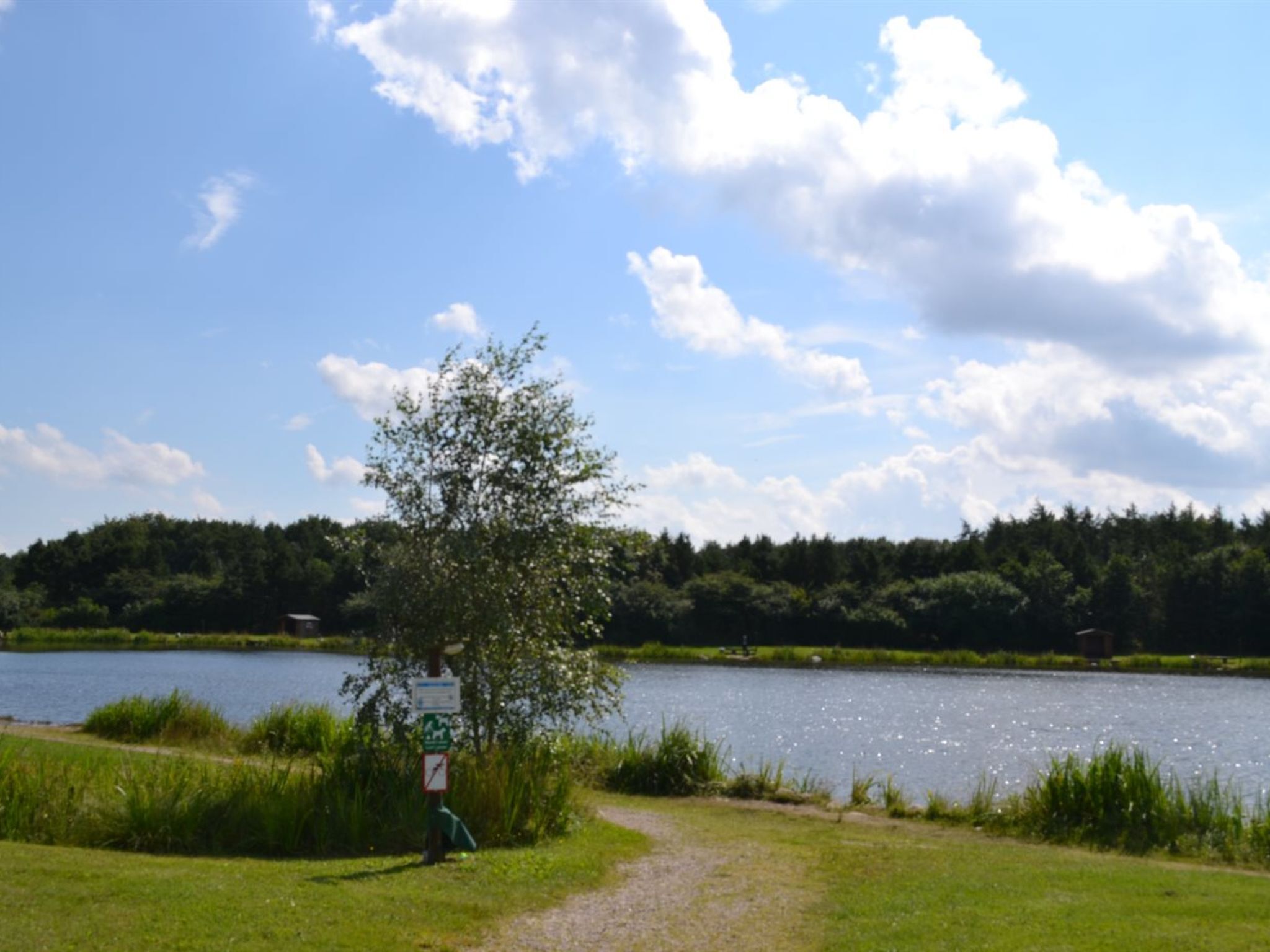 A lakeside path with a signpost, surrounded by lush greenery and a calm lake.