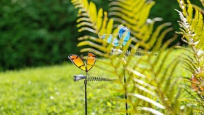 Een tuin met varens en een metalen constructie versierd met decoraties in de vorm van vlinders.