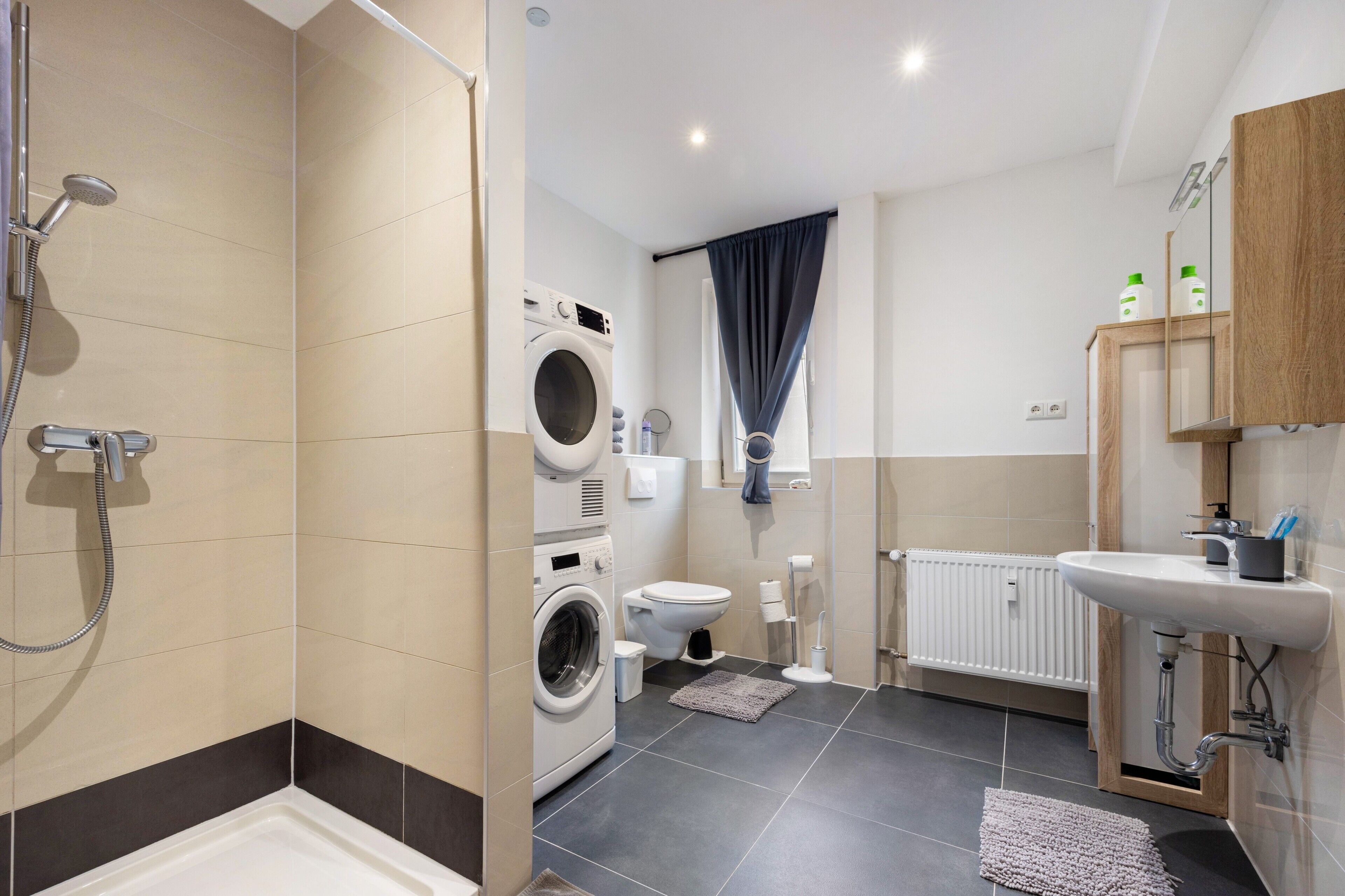 Shower, hair dryer, towels
