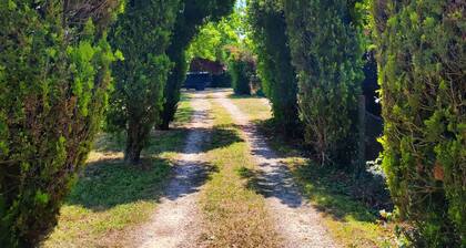 An ancient farmhouse for your holidays