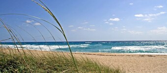 309n Sunrise Suite1 Bedroom, Pools, Jacuzzi, Beach, Shops & Dog Friendly