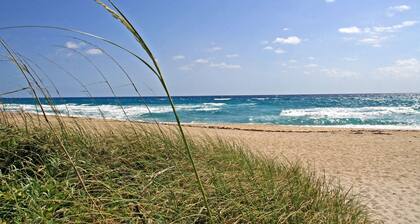 309n Sunrise Suite1 Bedroom, Pools, Jacuzzi, Beach, Shops & Dog Friendly