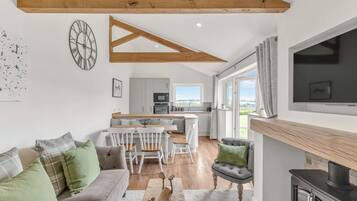 Télévision, cheminée, espaces bureaux