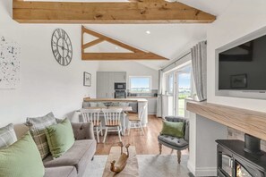 Televisor, llar de foc i oficines 