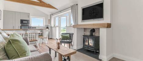 TV, fireplace, offices