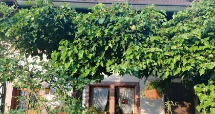 Room-small Holiday Cottage Ivy