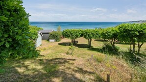 Un vignoble avec des rangées de vignes, un petit abri et un banc.