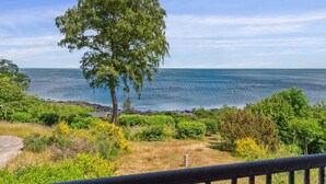 Un paysage côtier avec un arbre imposant, une vue dégagée sur la mer et un sentier menant à l’eau.